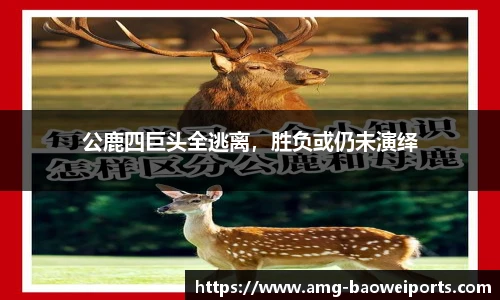 宝威体育app